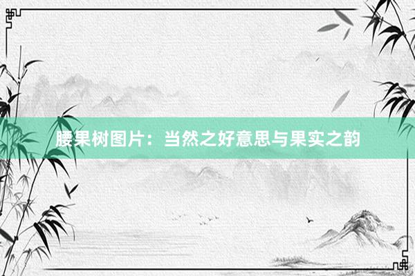 腰果树图片：当然之好意思与果实之韵
