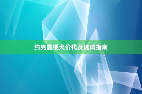约克夏梗犬价钱及选购指南